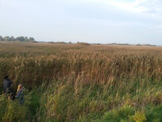 Maison de vacances Rodenäs  34