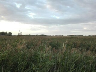 Maison de vacances Rodenäs  15