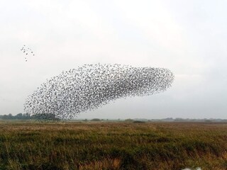 Maison de vacances Rodenäs  16