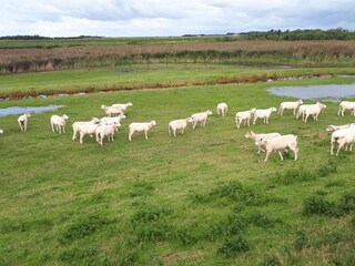 Casa per le vacanze Rodenäs  10