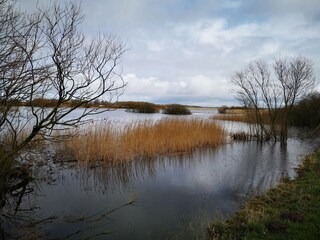 Vakantiehuis Rodenäs  11