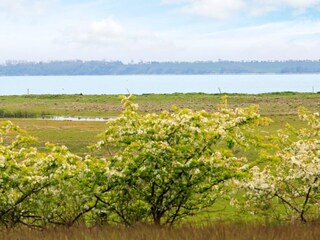 Casa per le vacanze Ejerslev  17