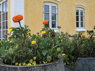 Ferienhaus Ejerslev  16