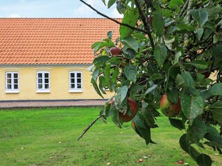 Vakantiehuis Ejerslev  20