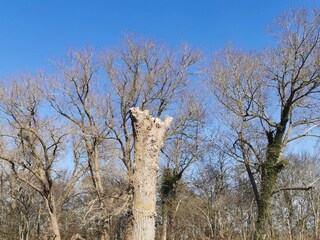 Maison de vacances Maribo  14
