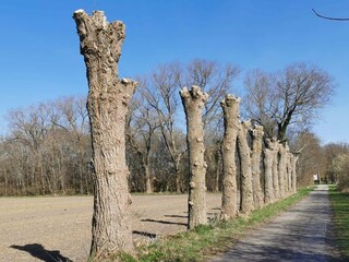 Vakantiehuis Maribo  16