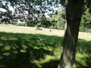 Vakantiehuis Maribo  33