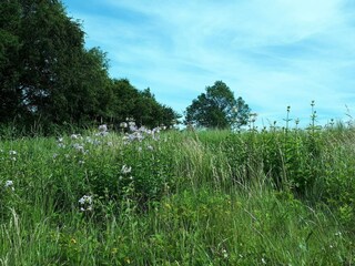 Casa de vacaciones Maribo  30