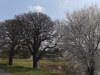 Holiday house Maribo  34