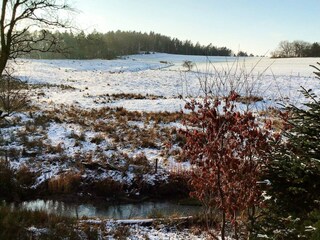 Ferienhaus Dänemark Außenaufnahme 4
