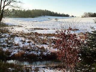 Vakantiehuis Dänemark Buitenaudio-opname 3