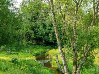 Vakantiehuis Dänemark  18