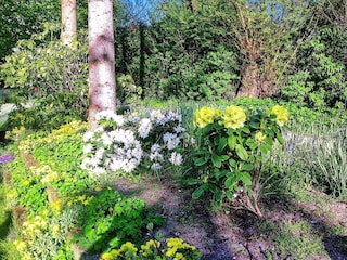 Ferienhaus Asperup  45