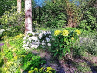 Vakantiehuis Asperup  17