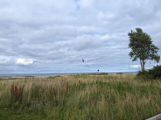 Vakantiehuis Asperup  5