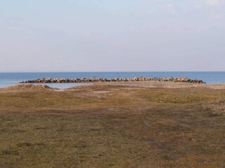 Casa per le vacanze Asperup  13