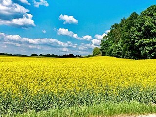 Maison de vacances Tostared  24