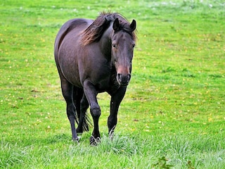 Vakantiehuis Tostared  29