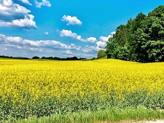 Casa per le vacanze Tostared  27