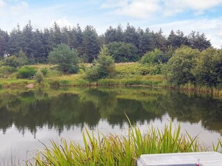 Ferienhaus Arrild  24