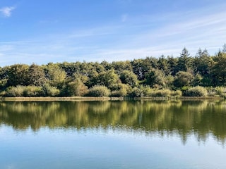 Vakantiehuis Arrild  16