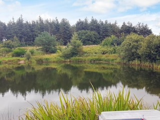 Ferienhaus Arrild  10