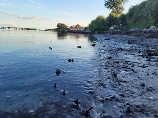 Vakantiehuis Fåborg  20