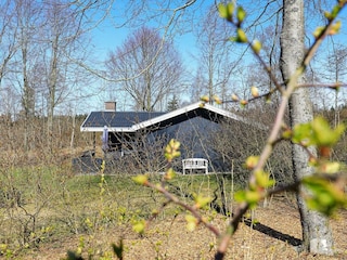 Vakantiehuis Fjerritslev  8