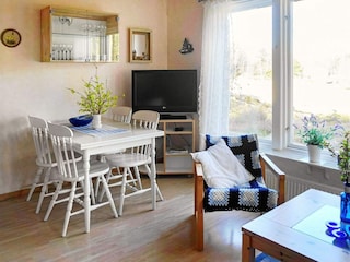 Ferienhaus Ellös  6