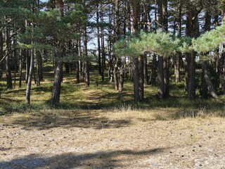 Vakantiehuis Ellös  7