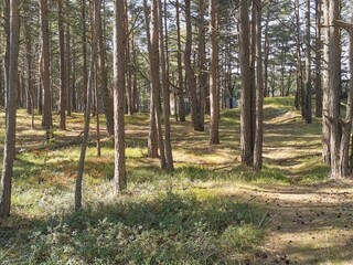 Vakantiehuis Ellös  11