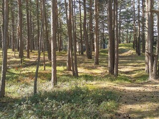 Casa de vacaciones Ellös  26