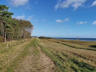 Vakantiehuis Vaeggerløse  34