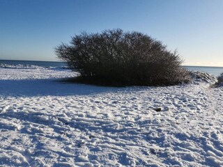 Maison de vacances Vaeggerløse  15