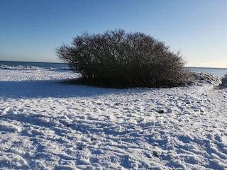 Vakantiehuis Vaeggerløse  15