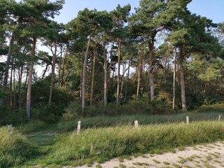 Vakantiehuis Vaeggerløse  32