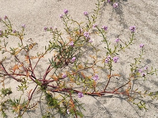 Vakantiehuis Vaeggerløse  31