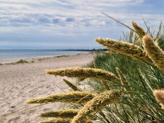 Vakantiehuis Vaeggerløse  12