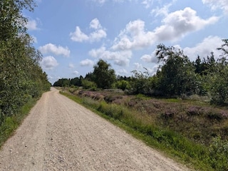 Ferienhaus Houstrup  40
