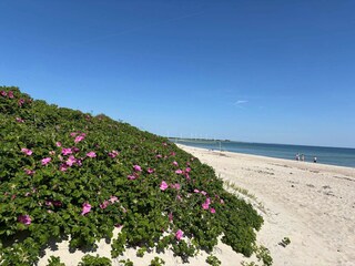 Maison de vacances Sydals  30