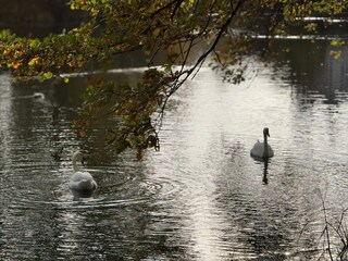 Holiday house Gråsten  30