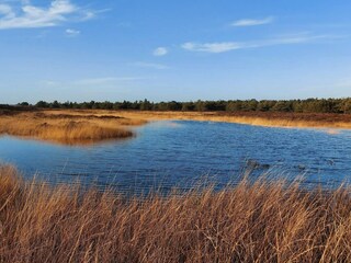 Vakantiehuis Lakolk  26