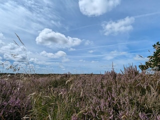 Holiday house Lakolk  9