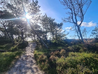 Casa per le vacanze Lakolk  23