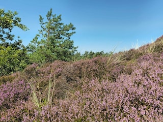 Holiday house Lakolk  10