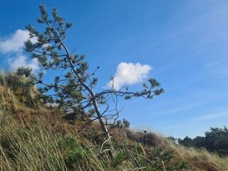 Ferienhaus Lakolk  15