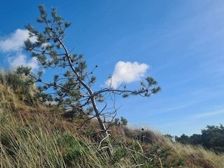 Holiday house Lakolk  31