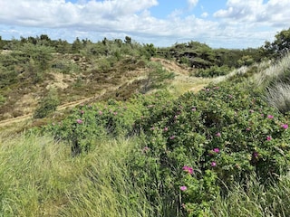 Casa per le vacanze Lakolk  34