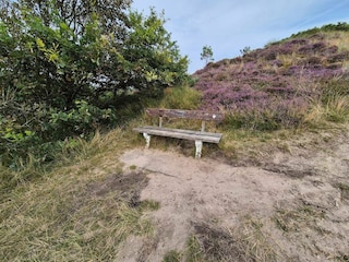 Vakantiehuis Lakolk  17