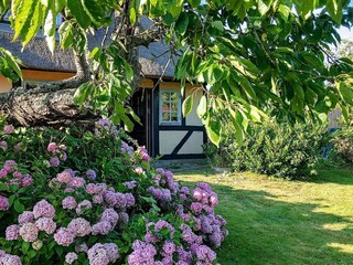 Casa per le vacanze Humble Registrazione all'aperto 10